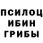 Галлюциногенные грибы прущие грибы Alexandr Shaverdinsky