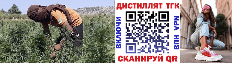 ТГК вейп  дарнет шоп  Полевской 