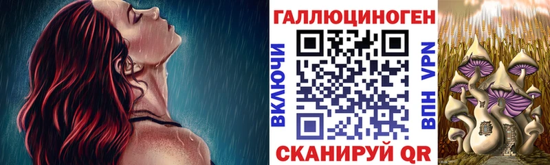 наркотики  Полевской  Псилоцибиновые грибы Magic Shrooms 